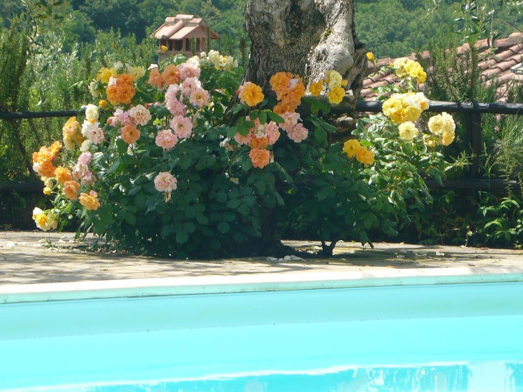 Podere Oliveta ปอจจิบองซี ภายนอก รูปภาพ
