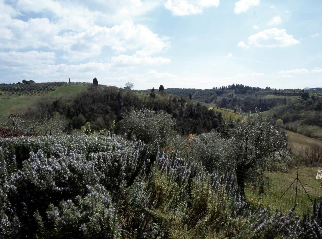 Podere Oliveta ปอจจิบองซี ภายนอก รูปภาพ